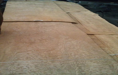 Chapa de madera del Burl amarillo de la ceniza, 0,50 milímetros de chapa de madera natural del grueso