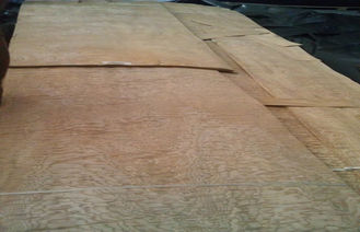 Chapa de madera con los Burls, chapa cortada de la ceniza amarilla de madera del corte