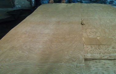 Chapa de madera del Burl amarillo de la ceniza, 0,50 milímetros de chapa de madera natural del grueso