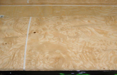 Chapa de madera del Burl de la ceniza blanca con técnicas cortadas del corte