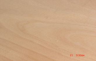 Corte rotatorio 0,2 milímetros - 0,6 milímetros de Okoume de amarillo de la chapa para los muebles