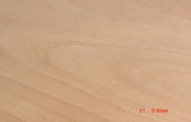 Chapa rotatoria amarilla del corte de Okoume para los muebles y la madera contrachapada