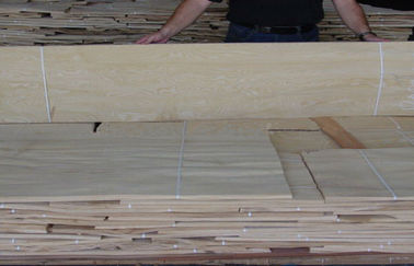 La rebanada de madera de la chapa de la ceniza natural blanca cortó el grueso de 0.5m m para el acabamiento interior