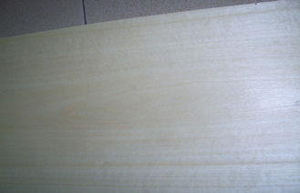 0,5 milímetros de chapa cortada corona del abedul blanco con el grano amarillo claro