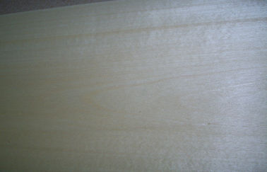 0,5 milímetros de chapa cortada corona del abedul blanco con el grano amarillo claro