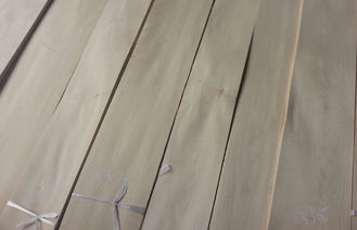 El grado del AA blanqueó/el corte rotatorio de la chapa de madera de abedul blanco de la construcción