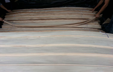 El grado del AA blanqueó/el corte rotatorio de la chapa de madera de abedul blanco de la construcción