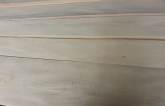 Corte cortado chapa de madera de abedul del arce de la naturaleza, hojas de chapa de la madera dura