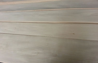 Chapa de madera de abedul del corte del cuarto