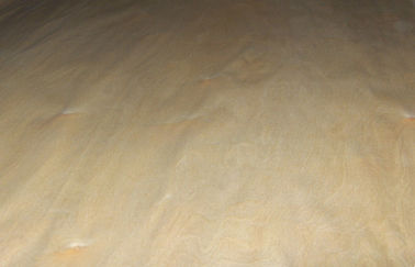 Chapa de madera de abedul del corte del cuarto