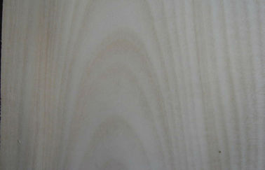 Corte cortado chapa de madera de abedul del arce de la naturaleza, hojas de chapa de la madera dura