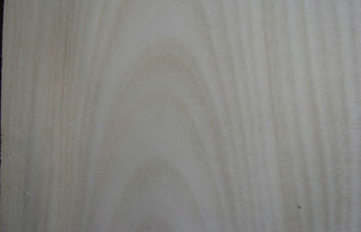 Chapa cortada de madera de abedul blanco del corte preacabada con el grueso de 0.5m m
