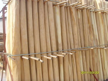 Chapa cortada amarillo del abedul natural con el grano salvaje para la madera contrachapada