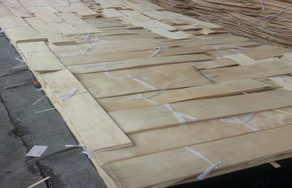 chapa de madera cortada natural del arce de China del corte para los muebles