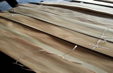 Chapa de madera bicolor cortada conglomerado del abedul natural del corte dirigida