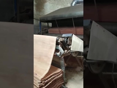 Hoja de chapa de corte rotatorio PLB de madera natural