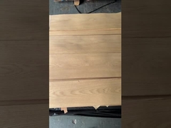 Chapa del roble blanco