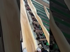 Corte de corona de chapa de olmo