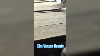 Chapa de Olmo Corte Corona