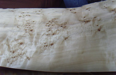 Hojas de chapa de madera cortadas Burl natural del corte del álamo, chapa del Burl del olmo