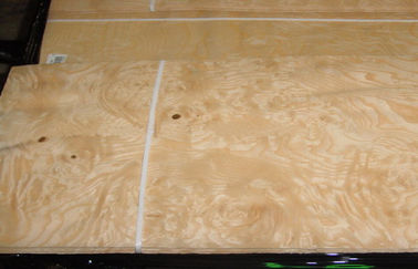 Chapa de madera del Burl amarillo de la ceniza para los muebles, 0,5 milímetros de grueso