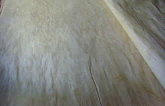 Materiales rotatorios blancos como la leche naturales del arce de la chapa del corte para la madera contrachapada