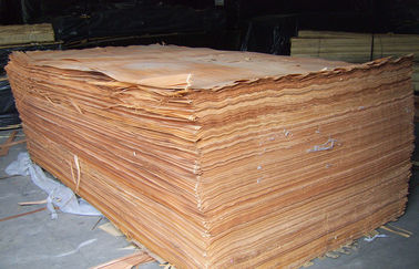 Chapa de madera del corte rotatorio amarillo natural de Okoume para la superficie de los muebles