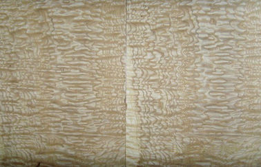 El cuarto de madera auto-adhesivo de la construcción de las hojas de chapa cortó el grano de madera