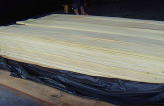 Chapa de madera de la rebanada del corte de goma amarillo de la corona para los muebles