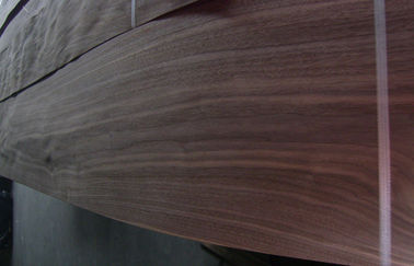 Grado de madera de los muebles de la puerta de revestimiento de madera de la chapa del nogal negro técnico