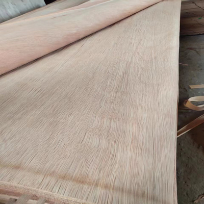 Hoja de chapa rotatoria de madera natural del corte PLB con 0.15-0.3m m para la madera contrachapada