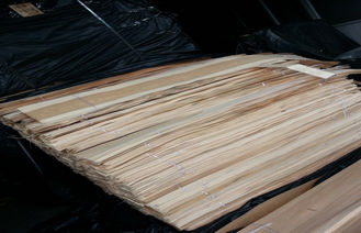 Chapa fina natural de la construcción de madera de abedul dirigida preacabada