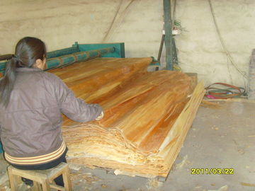 Chapa de madera de abedul de los muebles