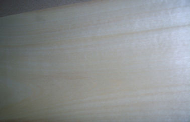 Decoración unilateral de pulido de la chapa de madera de abedul del alto grado con el corte rotatorio