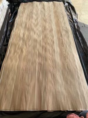 Hoja de chapa de carilla de coronilla de olmo marrón natural cortada para madera contrachapada
