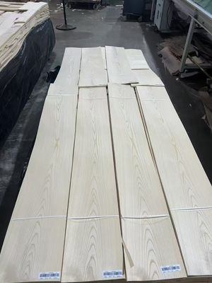 AAA Grade Ash Crown Cut Veneer Superior Choice for Luxury Natural Wood Furniture