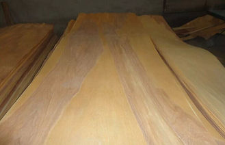 Grado rotatorio de la hoja de chapa del abedul del corte de la naturaleza A, chapa de madera natural