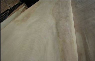 Chapa de madera del corte del corte rotatorio natural del abedul un grado para los muebles