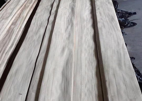 El cuarto de madera natural de Paldao cortó la chapa con la línea negra