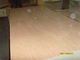 Chapa de madera del corte rotatorio amarillo natural de Okoume para la superficie de los muebles
