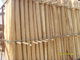 Blanco/chapa de madera del corte rotatorio del abedul de Brown, chapa acolchada del arce